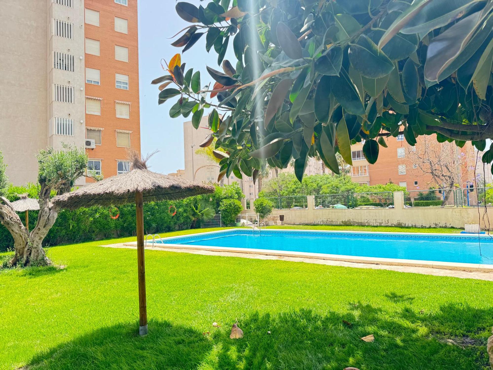 Estudio Con Piscina Alicante Extérieur photo